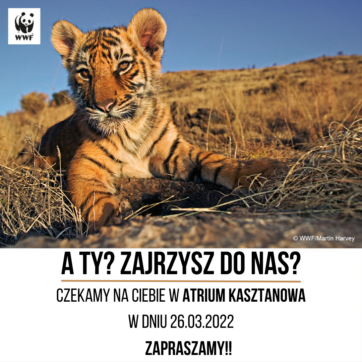 Spotkanie z WWF Polska