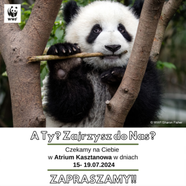 Tydzień z Fundacją WWF Polska w Atrium Kasztanowa